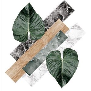 Meet your Posher, Chey